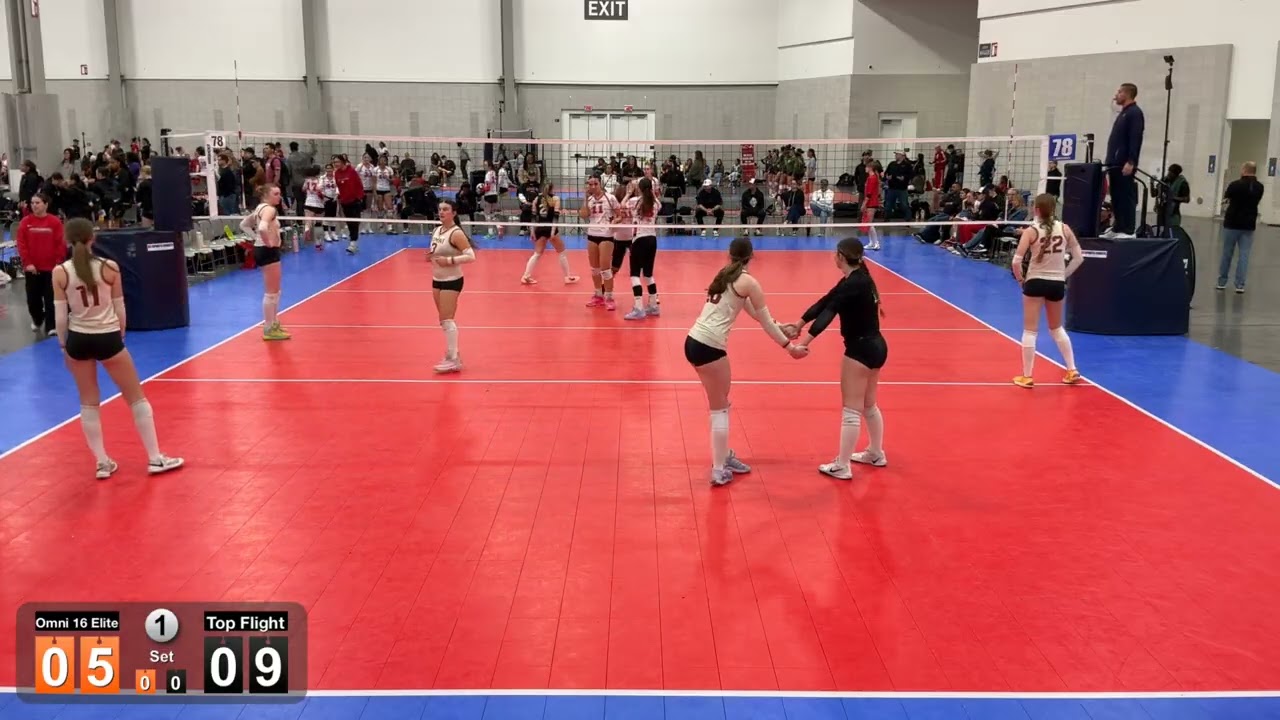 Omni 16 Elite vs Top Flight 2-15-2026