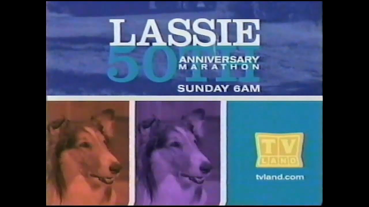 TV Land commercials [April 20, 2005]