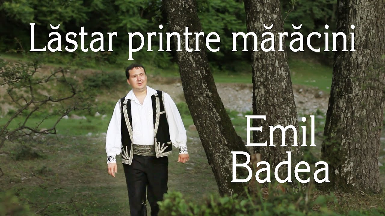Emil Badea - Lăstar printre mărăcini