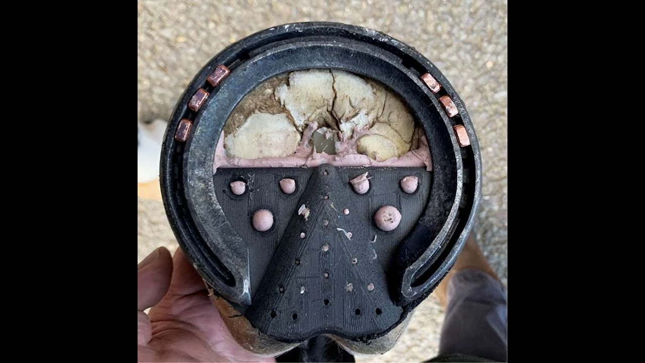 South African Farrier Discusses the Role of 3D Printing