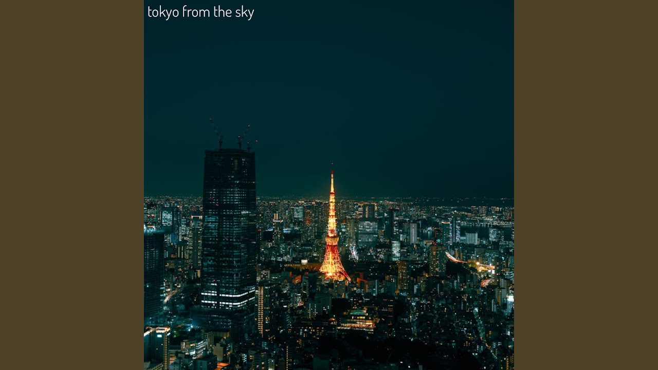tokyo from the sky