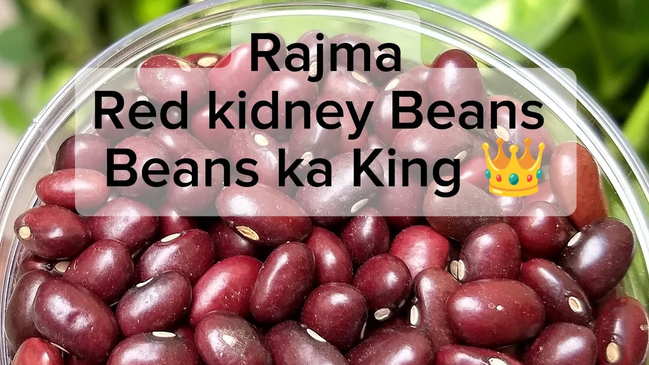 Rajma LaaL Lobia Red Kidney Beans Dasi style original Test 