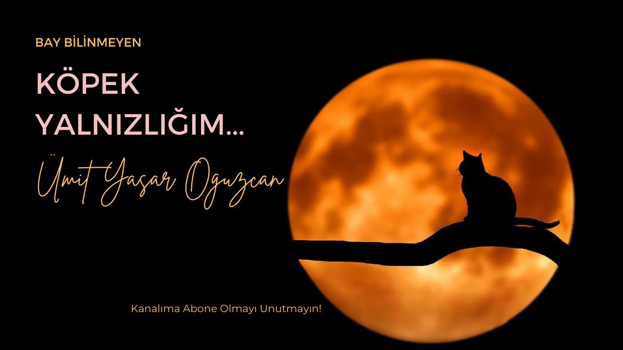 ÜMİT YAŞAR OĞUZCAN - KÖPEK YALNIZLIĞIM ...