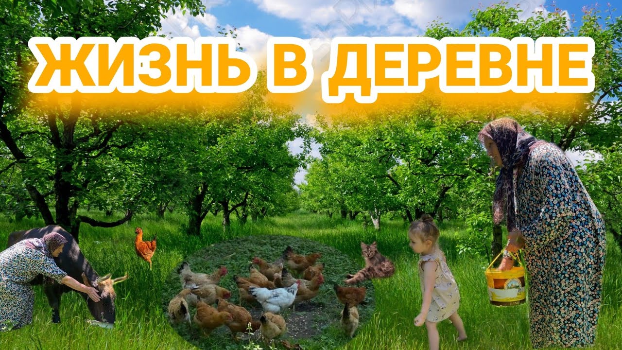 Деревенская жизнь / сельская жизнь Загатала