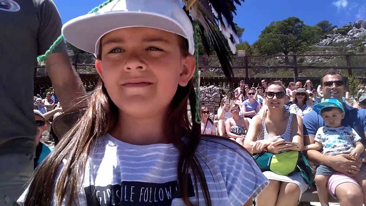 POKAZ DZIKICH PTAKÓW I KOLEJKA GÓRSKA 🦅[Benalmádena-Hiszpania]