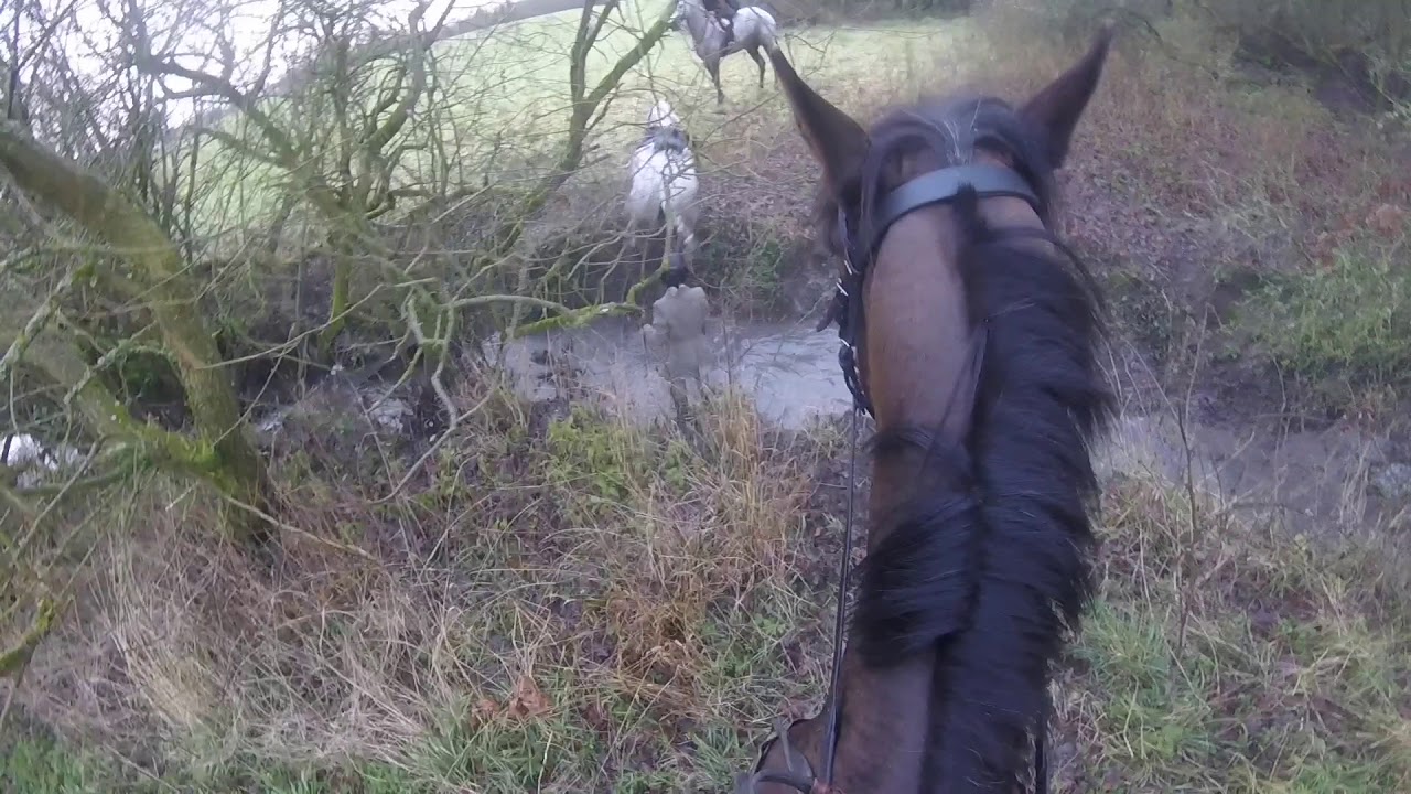 Portman Hunt 20/12/17