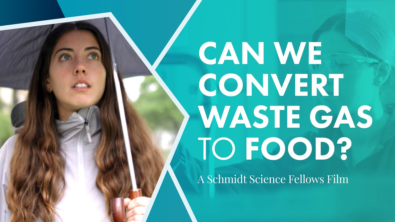 Can We Convert Waste Gas to Food?