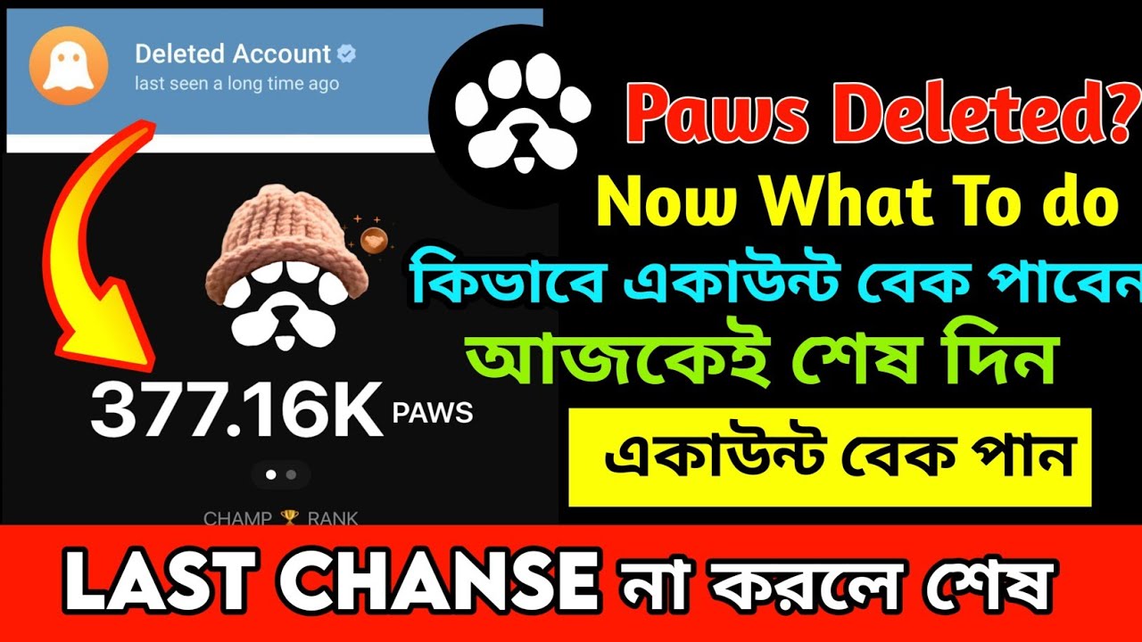 PAWS Deleted How to Connect Wallet Now? Withour Bot Connect Wallet to The Website | Paws verify