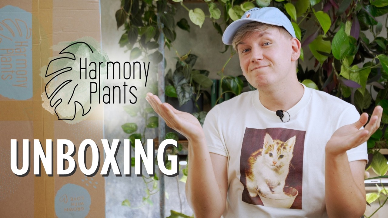 Ist DAS mein LETZTES Harmony Plants Unboxing? 😱 Plant Haul mit Überraschungen 🥲