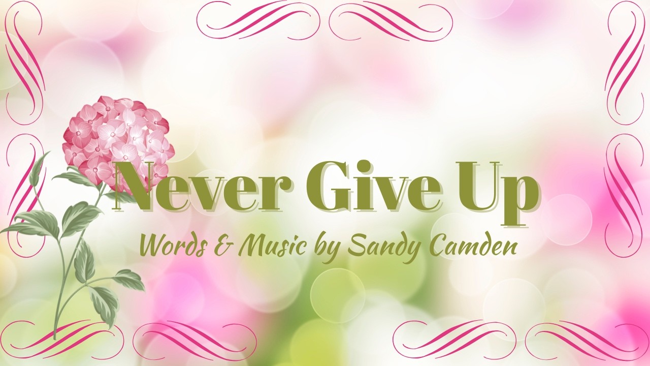 Never Give Up
