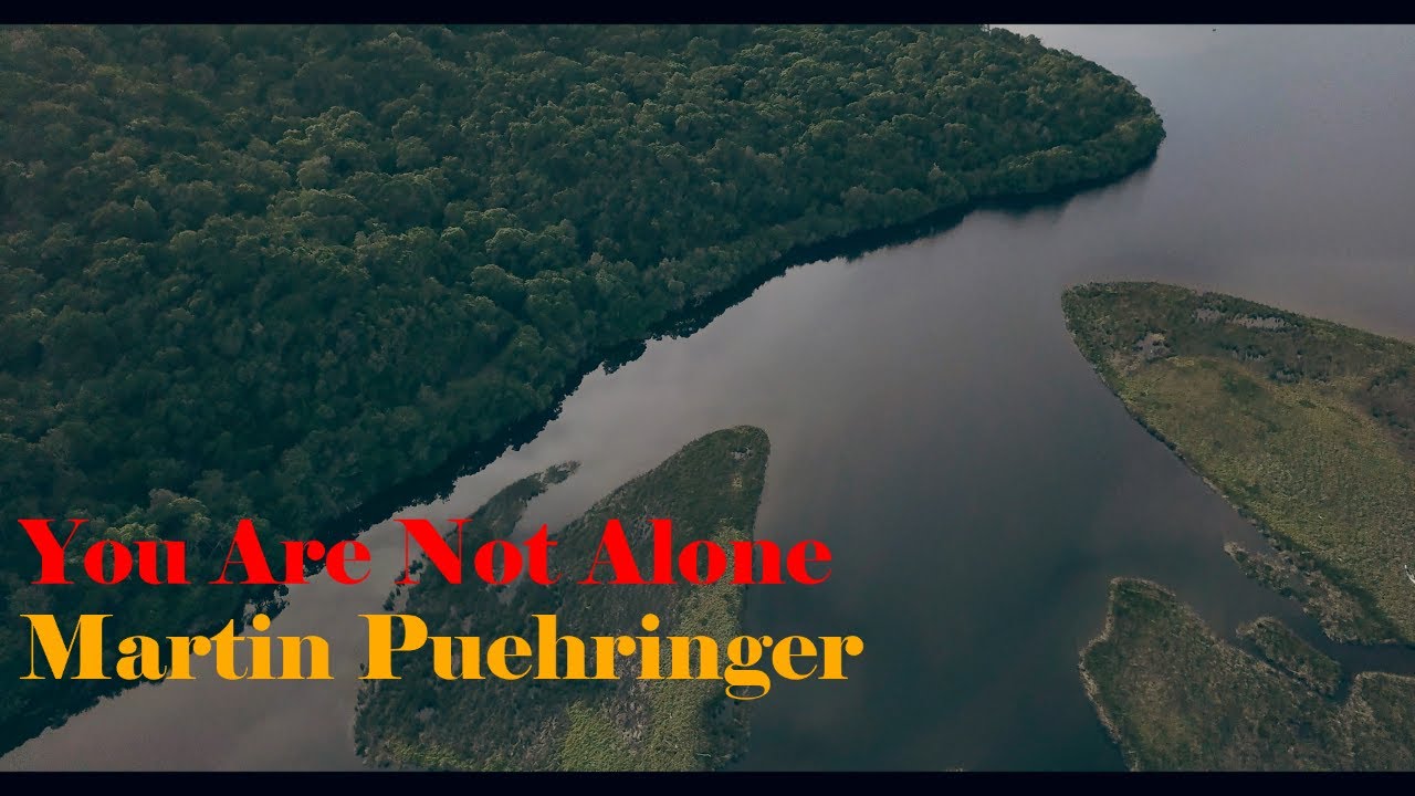 You Are Not Alone by Martin Puehringer