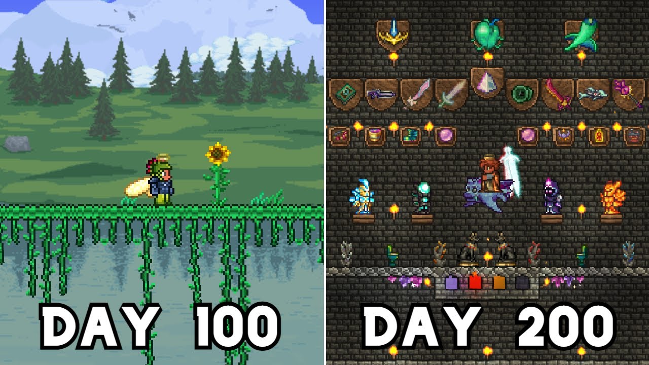 I Spent 200 Days in Terraria Skyblock