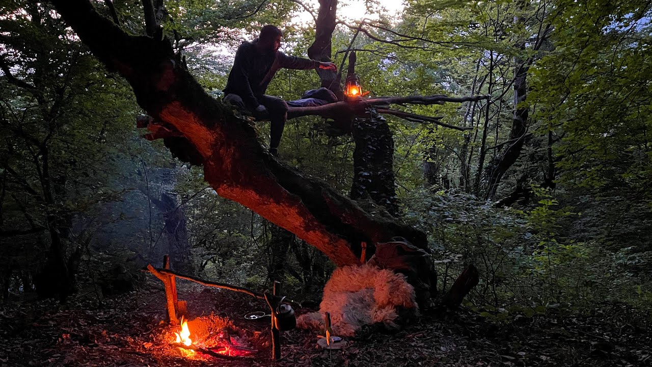 Solo Bushcraft Survival Camping on the Tree! No Tent, No Shelter | Relaxing Night in Nature