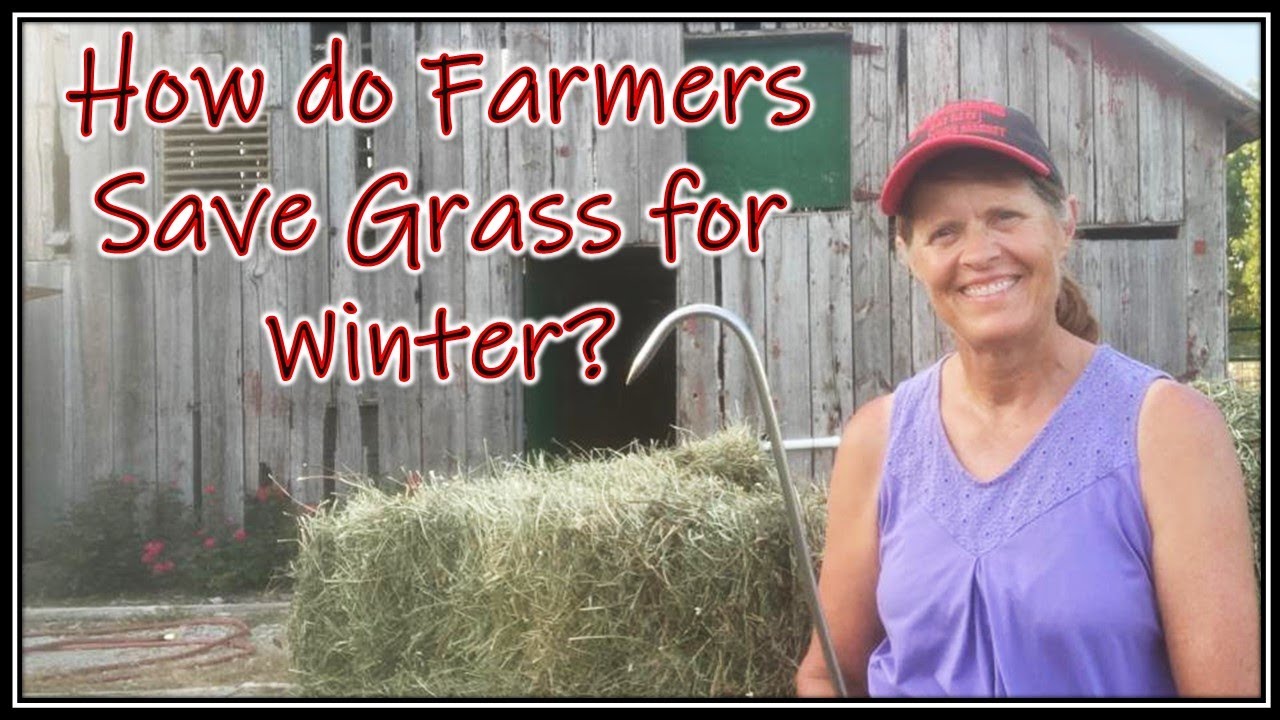 How Farmers Save Hay for Winter