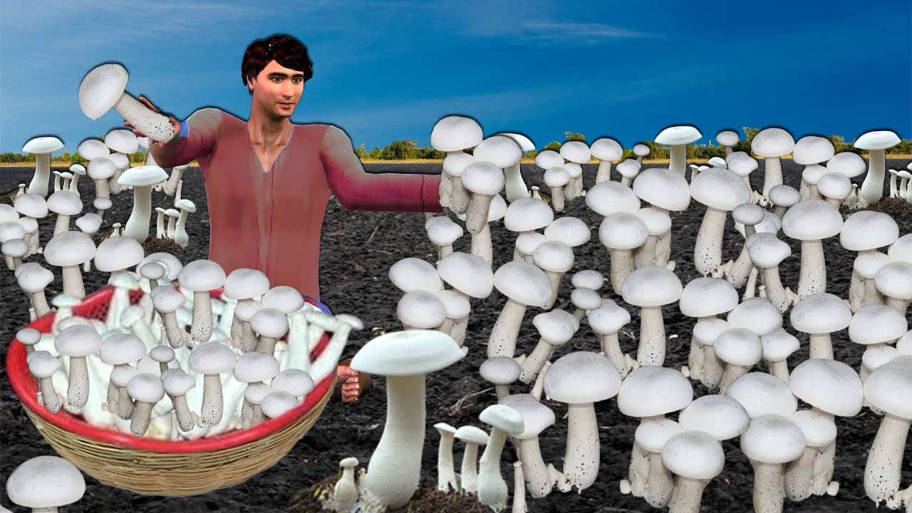 Mushroom Farming Hindi Kahaniya Hindi Moral Stories New Funny Comedy Video