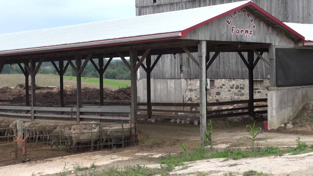 Disposal of Livestock Mortalities