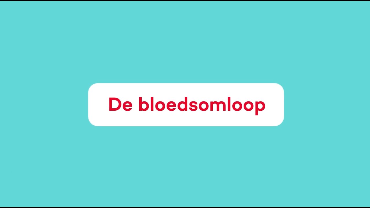 Wat is de Bloedsomloop?