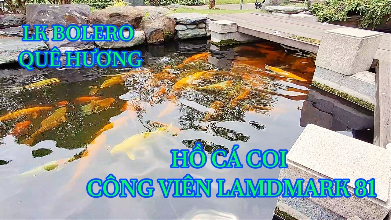 LK Nhạc Bolero khu cá coi landmark 81