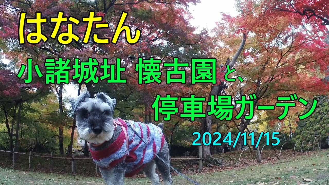 小諸、懐古園の紅葉と停車場ガーデン