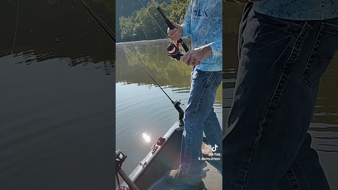 Carp fishing on the  New River
