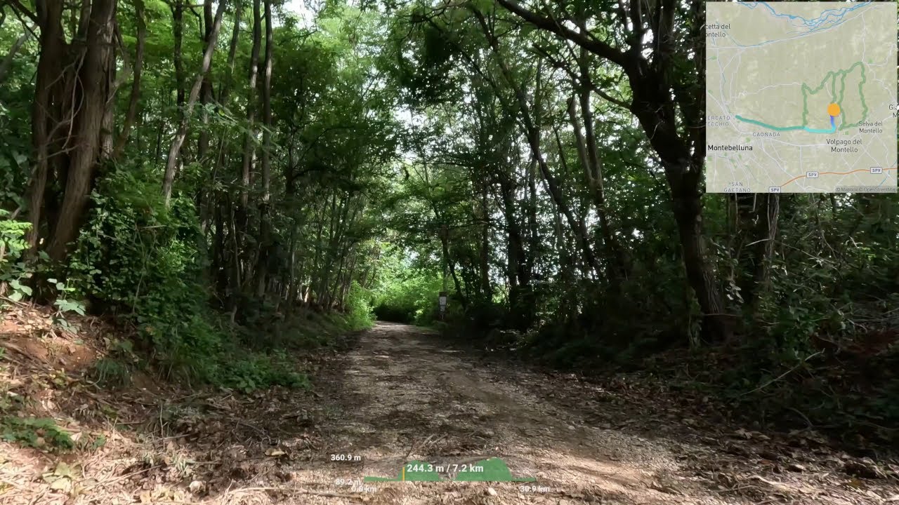 MTB loop sul Montello: Presa XI, X, VIII, XIV sud — 29,9 km 590 m D+