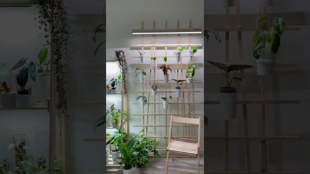 Моя первая фитостена🌱 #plants #greendesign #plantslife #greenhouse #hobbygarden #flowers