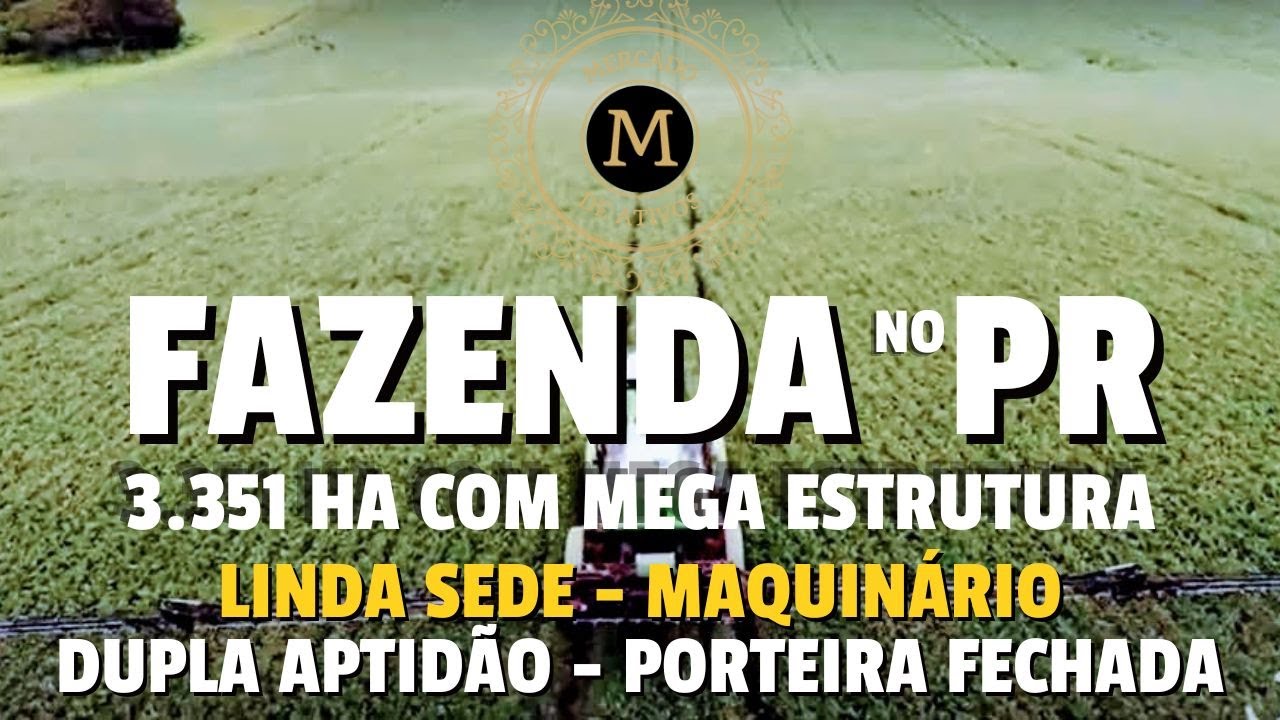 FAZENDA PRODUTIVA PARANÁ COM 3.351 HA DUPLA APTIDÃO SEDE COMPLETA  - MercadodeAtivos