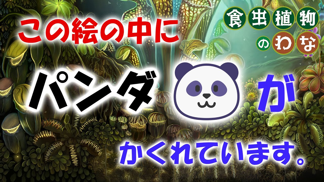 【パンダをさがせ！その2】絵の中の意外なところにパンダがかくれているよ！　絵本『食虫植物のわな』（偕成社）より