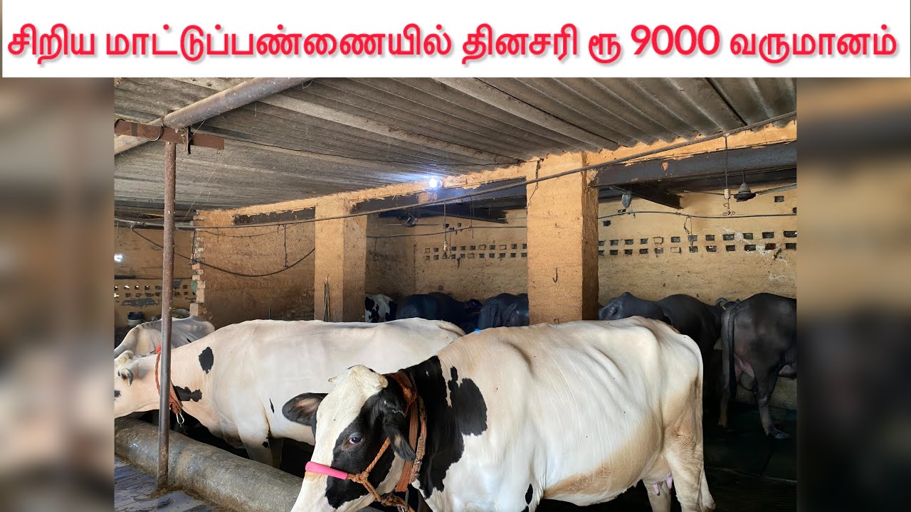 Rs. 9000/day from small dairy farm in Punjab