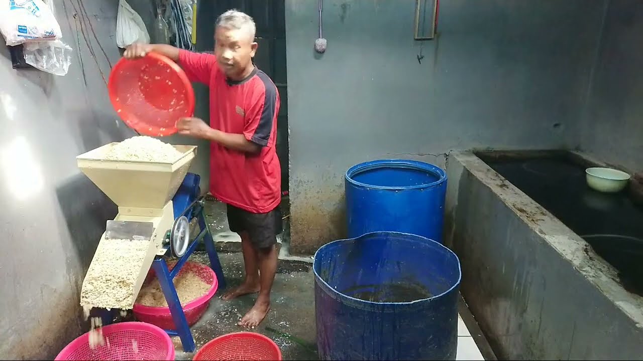 siaran langsung cara membuat tempe satu kali rebus peragian basah menggunakan mesin