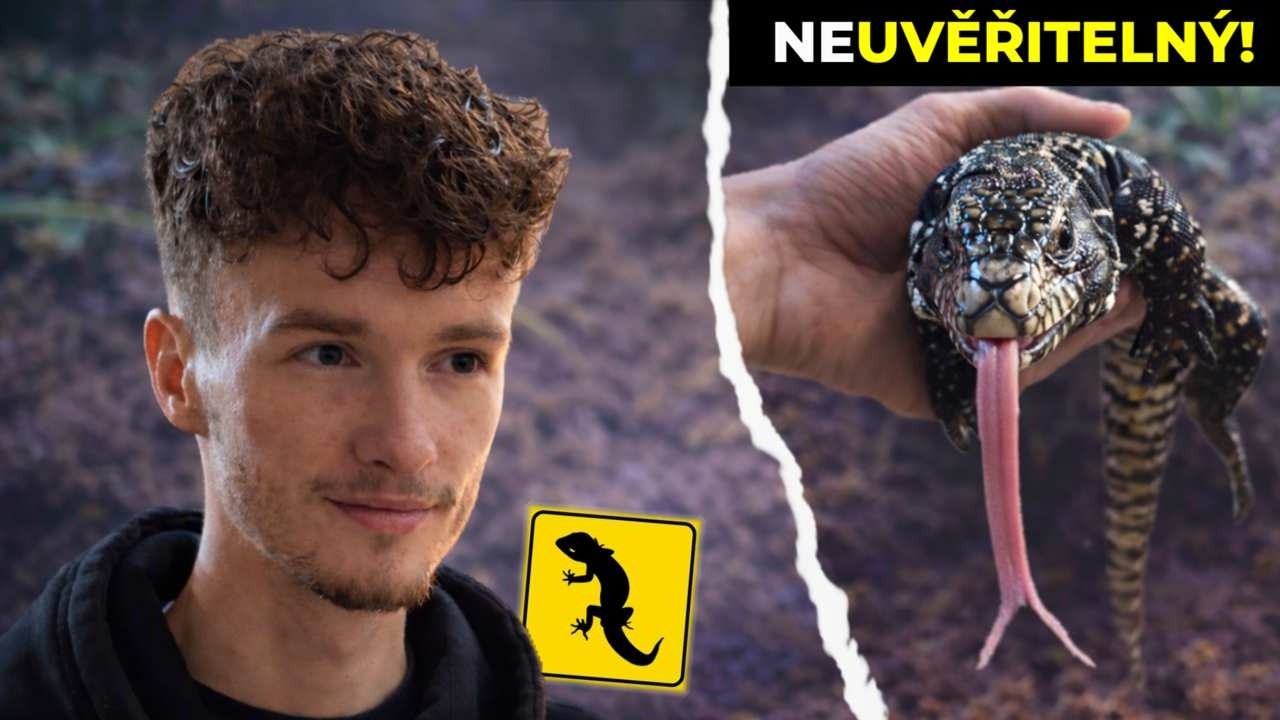 NEJCHYTŘEJŠÍ JEŠTĚR NA SVĚTĚ? Teju mě šokoval!