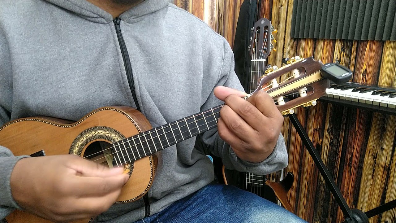 ESSA NÃO PODE FALTAR NO PAGODE - PIMPOLHO ( AULA DE CAVAQUINHO )