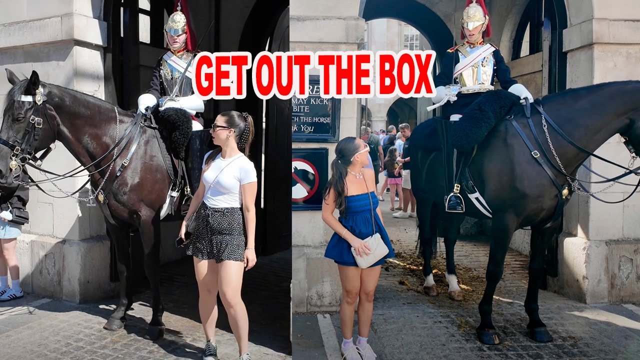 😡 Guard Has HAD IT! Confronting Rule-Breaking Tourists ‼️ (Compilation)