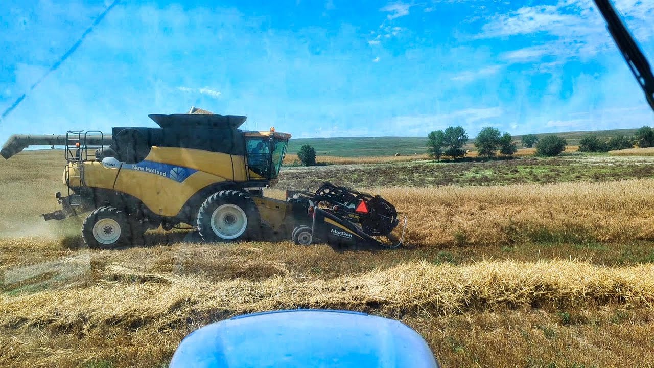 Lodged Oats? No Problem! - MacDon FD75