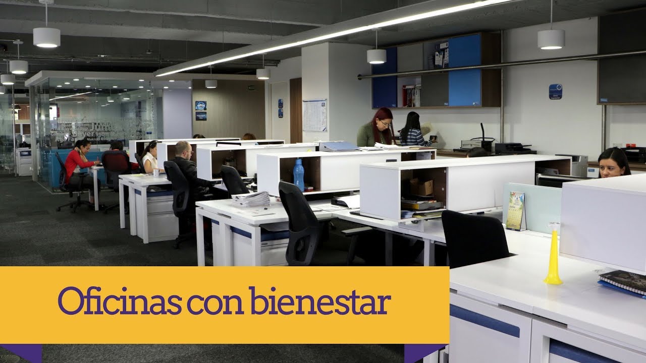 Oficinas diseñadas para mejorar la productividad