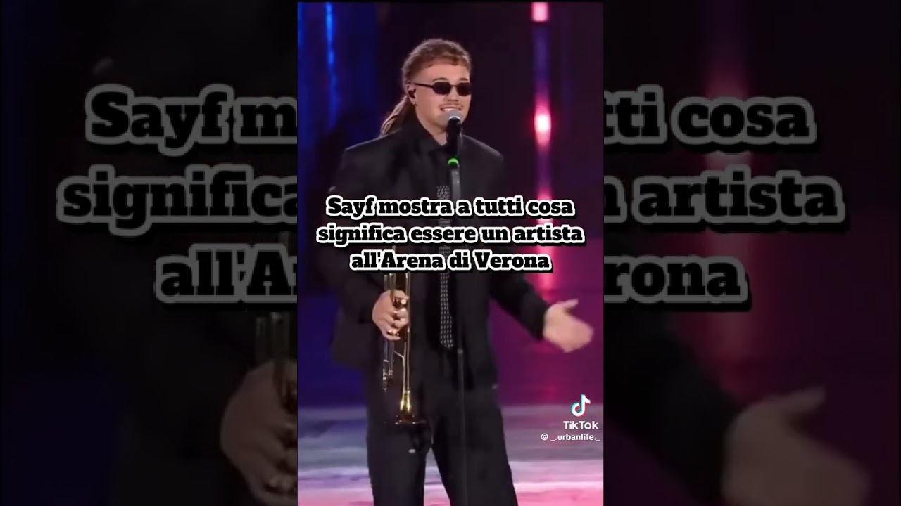 SAFY AERNA DI VERONA.