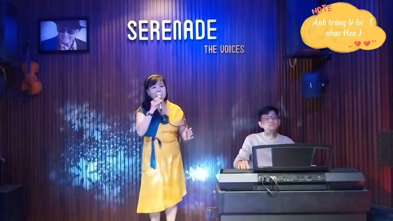 ÁNH TRĂNG LẺ LOI ( Nhạc Hoa lời Việt ) Tb : CẨM LỆ - Đệm đàn : ĐÀM HÀ