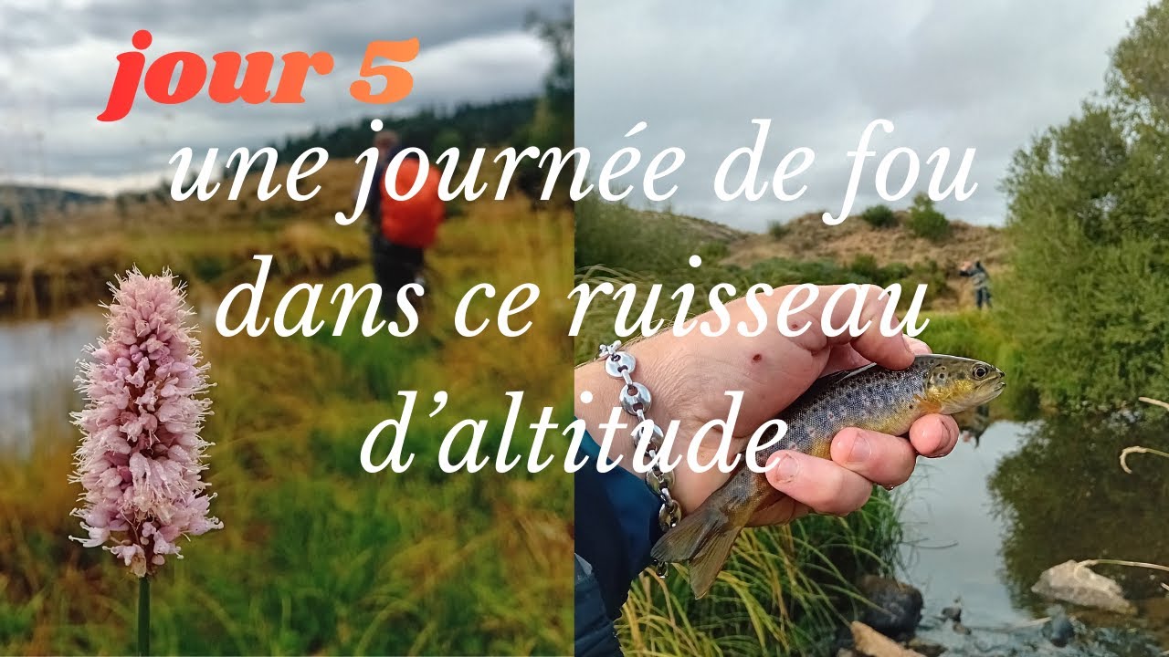 Jour 5 une journée de fou dans ce ruisseau d'altitude