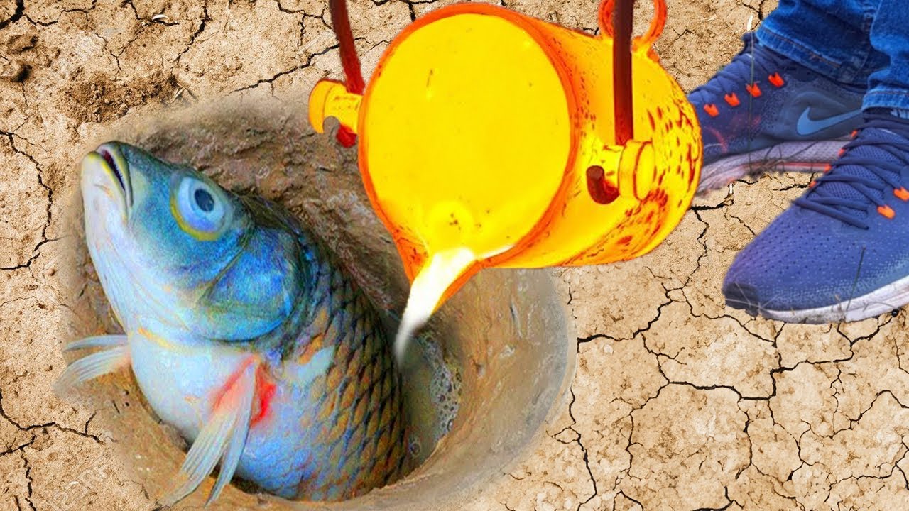 Experiment: Lava vs Fish Underground