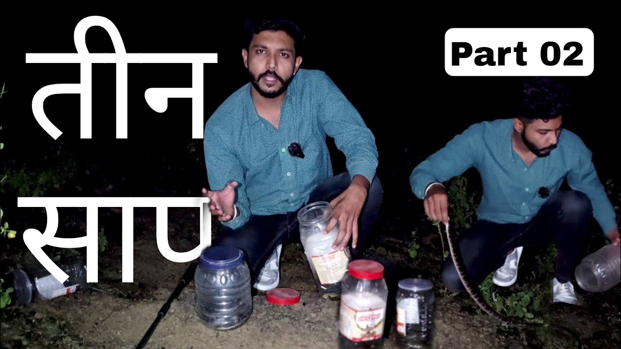 3 snakes | Prathamesh Sirsat | Krait snake | rat snake | Checkered keel back | Dhaman