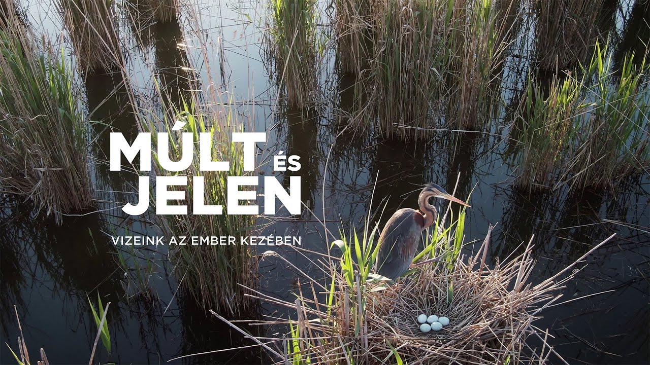 MÚLT ÉS JELEN: VIZEINK AZ EMBER KEZÉBEN | Magyar természetfilm