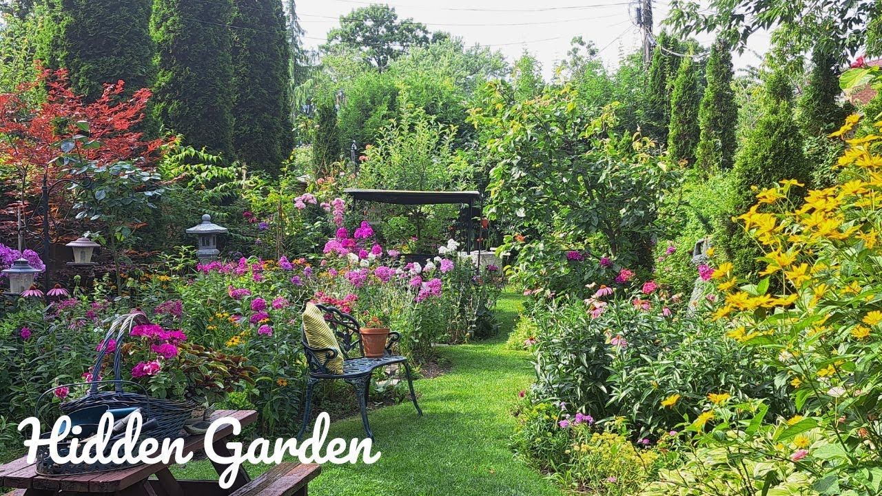 A Tour of My Hidden Urban Garden | Perennial Summer Flowers