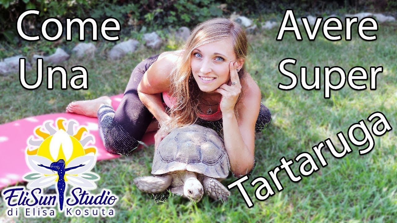 6 Esercizi Per Avere Una Super Tartaruga