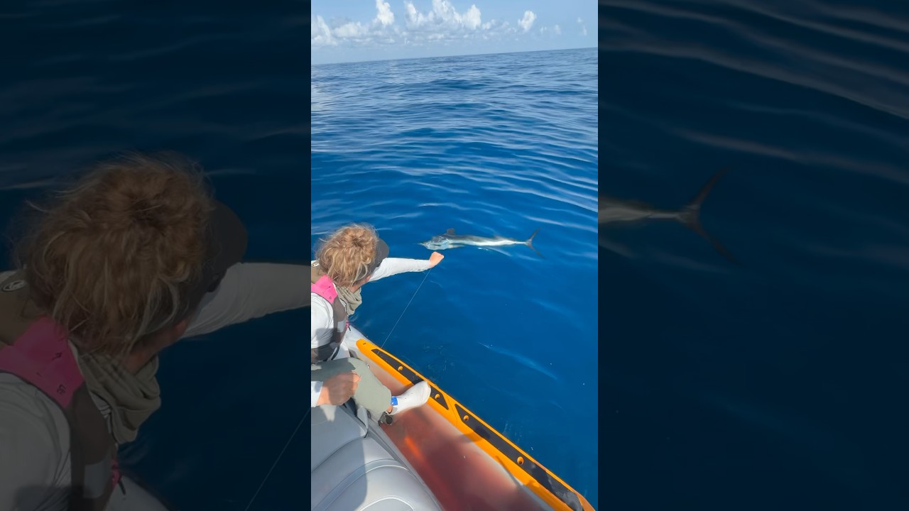 The fight ✨🎣 @seadoo #seadoolife #seadoofishing #sailfish #saltwater #deepseafishing #asmr #fishing