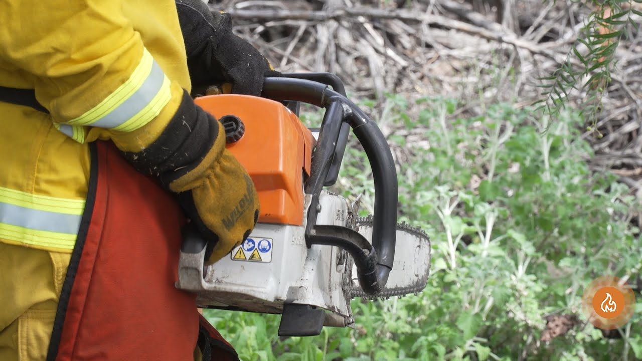 Chain Saw Skills & Certifications