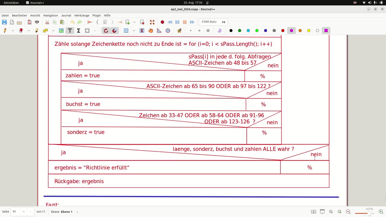 AP2-Prüfung Fachinformatiker SI - Sommer 2024 (8/8) - Programmierung & Fazit