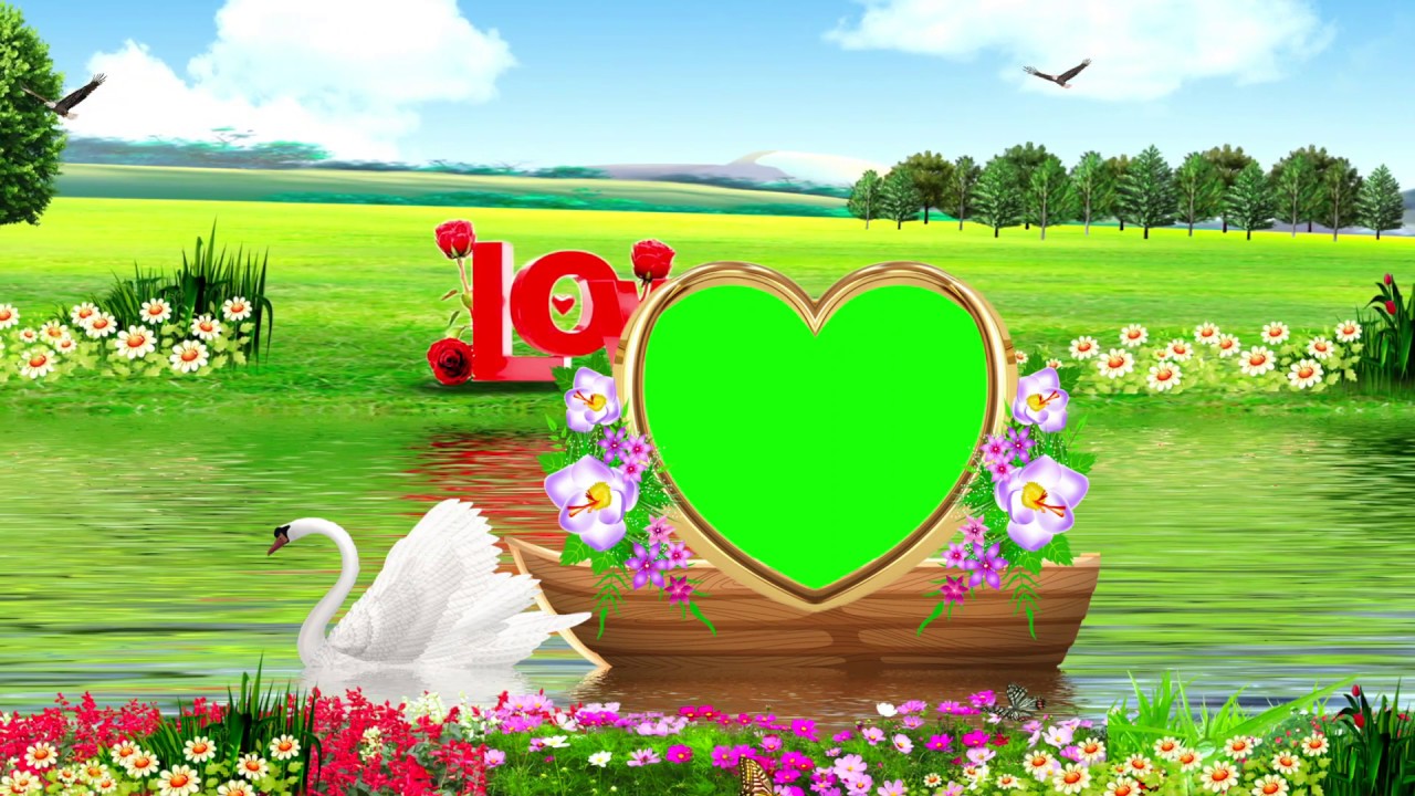3D Green Screen Background Effect || All Creative Designs
