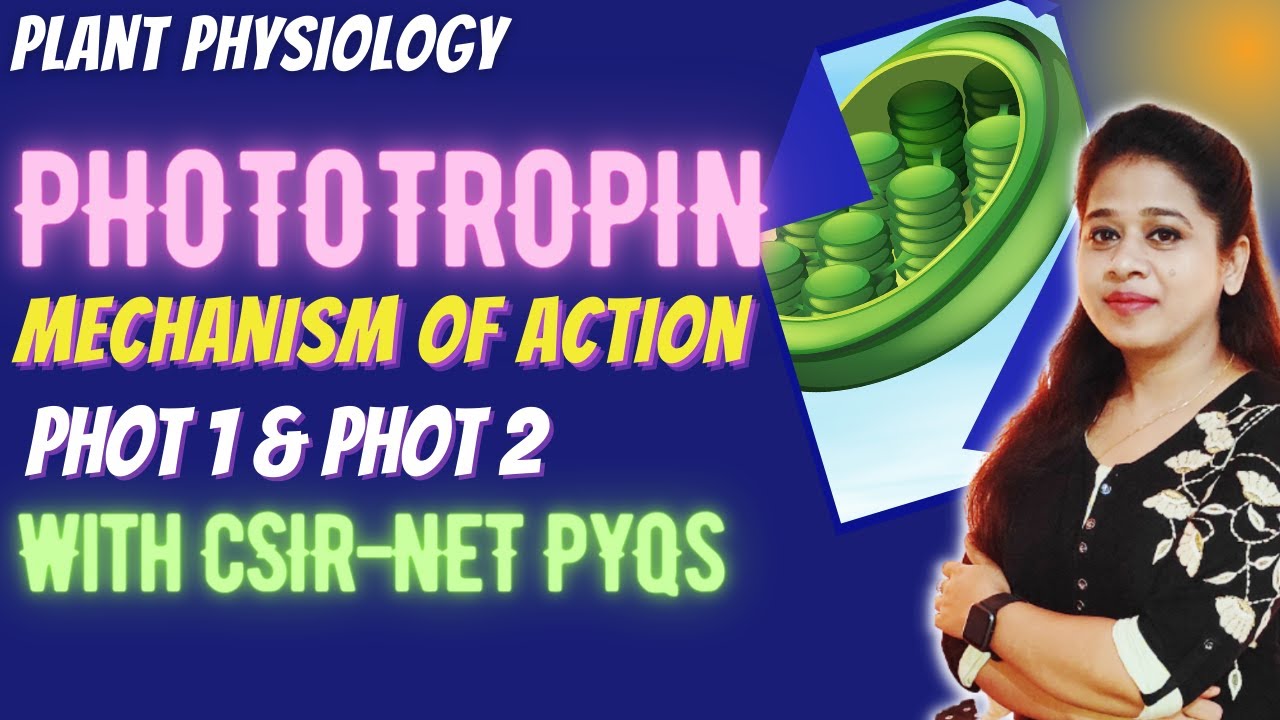 Phototropin CSIR NET  | Sensory Photobiology CSIR NET  | Plant physiology CSIR NET PYQ