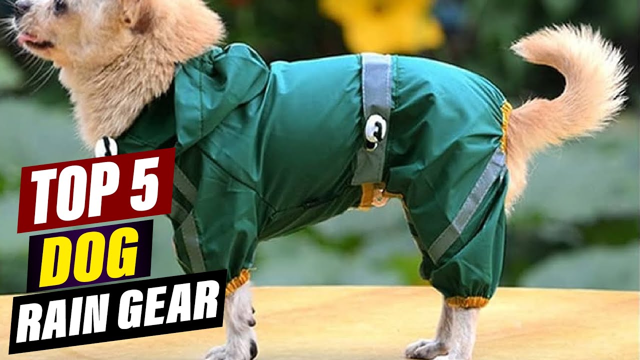 Best Dog Raincoats and Boots: Weatherproof Protection