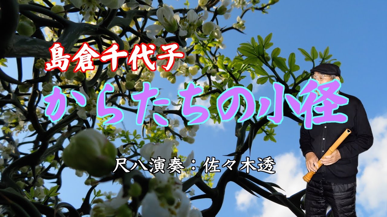 島倉千代子　からたちの小径　尺八演奏：佐々木透
